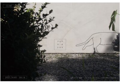 フェリス・カトゥス